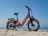 Ranger 3.0 Pro