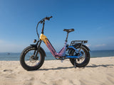 Ranger 3.0 Pro Limited Miami Sunset