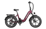 Ranger S 750W