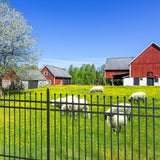 Greatbear 30 Wrought Iron Site Fencing